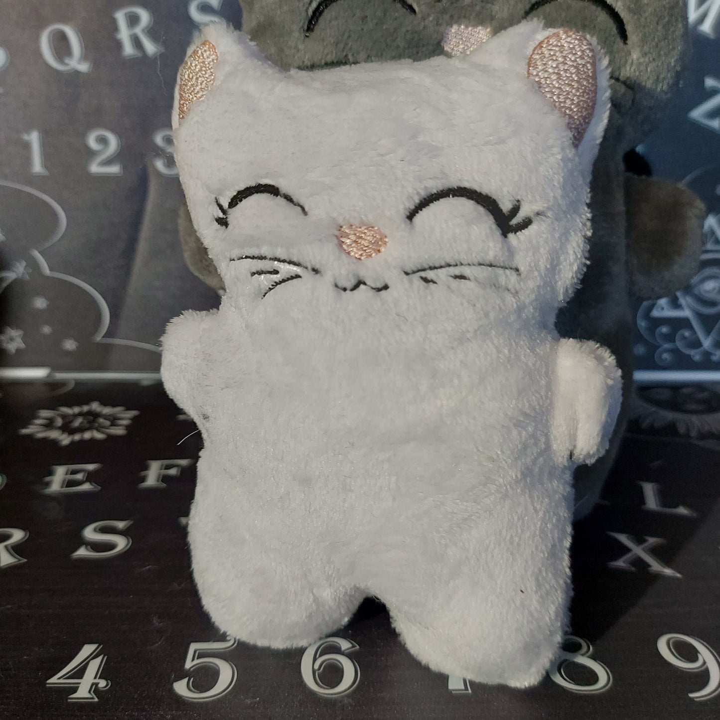 KITTY PLUSH
