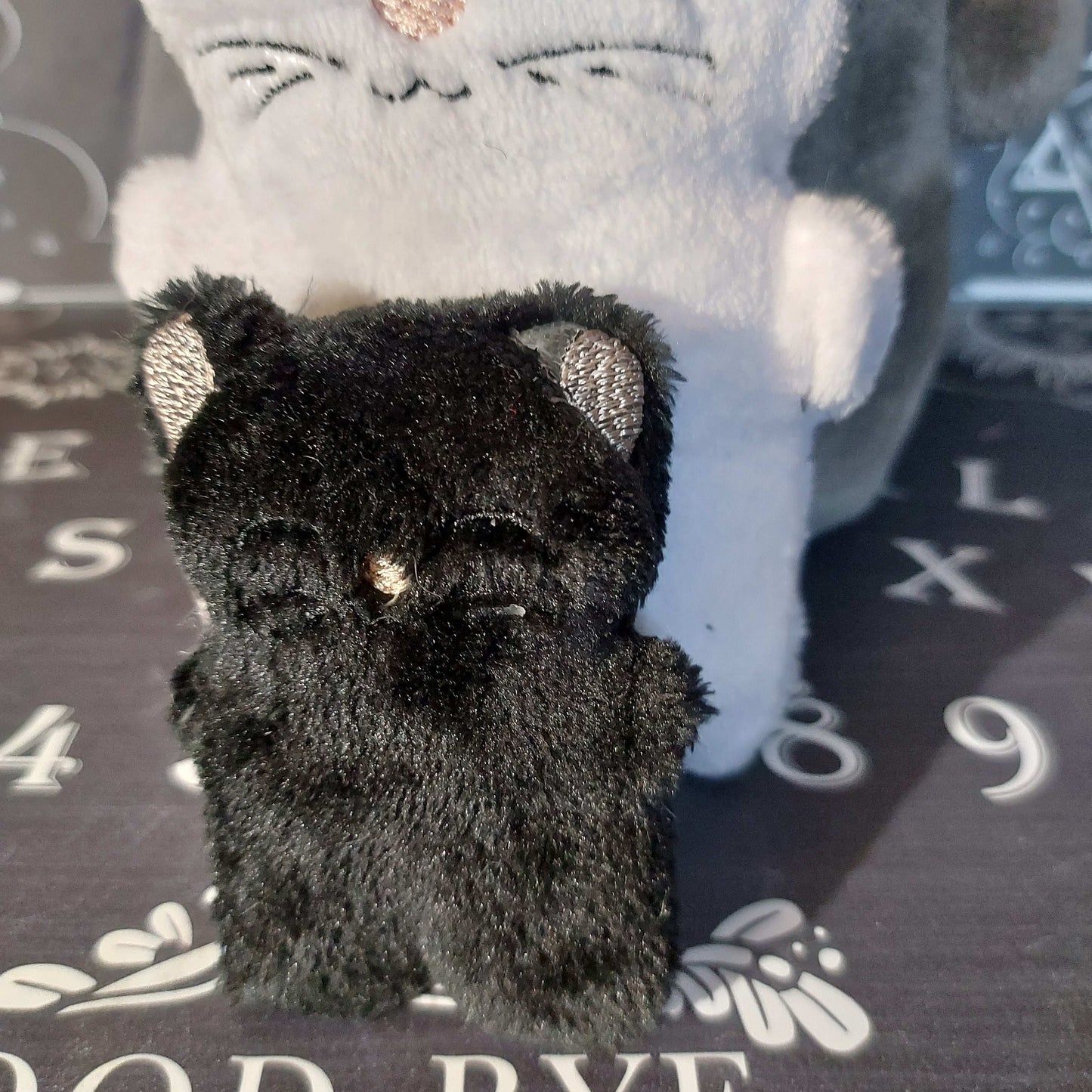 KITTY PLUSH